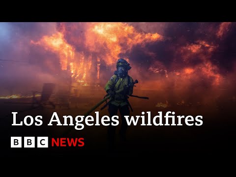 LA fires: Death toll from wildfires rises to 10, officials say | BBC News