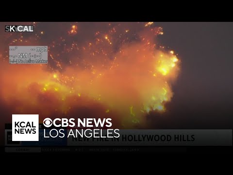 Sunset Fire sparks in Hollywood Hills, forcing evacuation orders